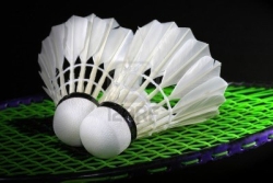 rencontre amicale badminton